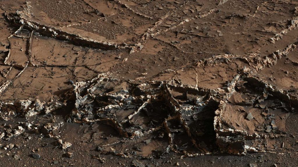 The MSL Curiosity rover captured this image of mineral veins in Martian rocks in 2015. The area is called Garden City, and it's on lower Mt. Sharp in Gale Crater. Image Credit: NASA/JPL-Caltech/MSSS